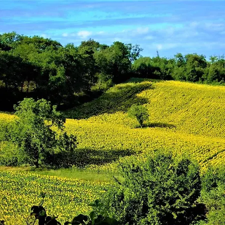 Le Lievre Villa *